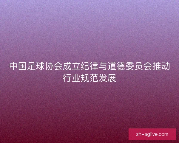 中国足球协会成立纪律与道德委员会推动行业规范发展 中国足球协会成立纪律与道德委员会推动行业规范发展