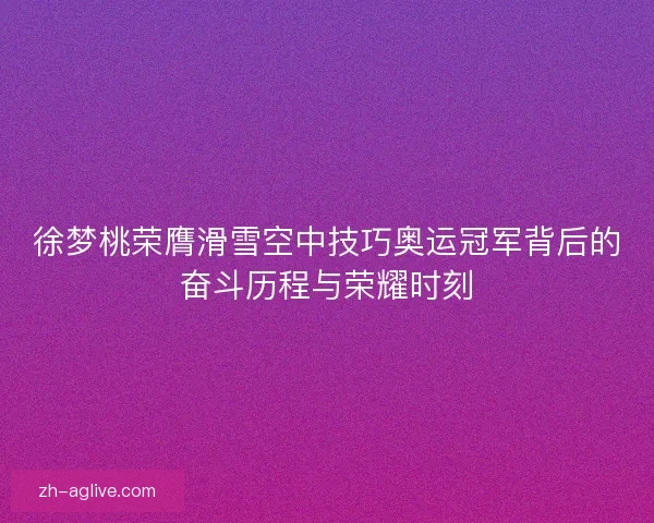 徐梦桃荣膺滑雪空中技巧奥运冠军背后的奋斗历程与荣耀时刻