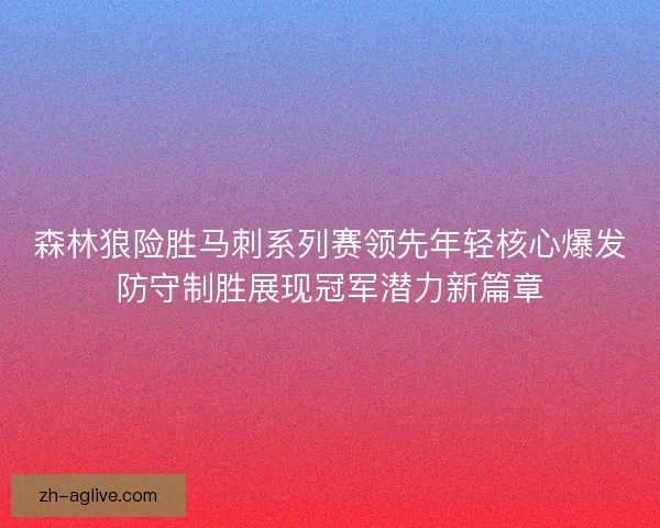 森林狼险胜马刺系列赛领先年轻核心爆发防守制胜展现冠军潜力新篇章