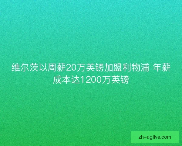 维尔茨以周薪20万英镑加盟利物浦 年薪成本达1200万英镑 维尔茨以周薪20万英镑加盟利物浦 年薪成本达1200万英镑